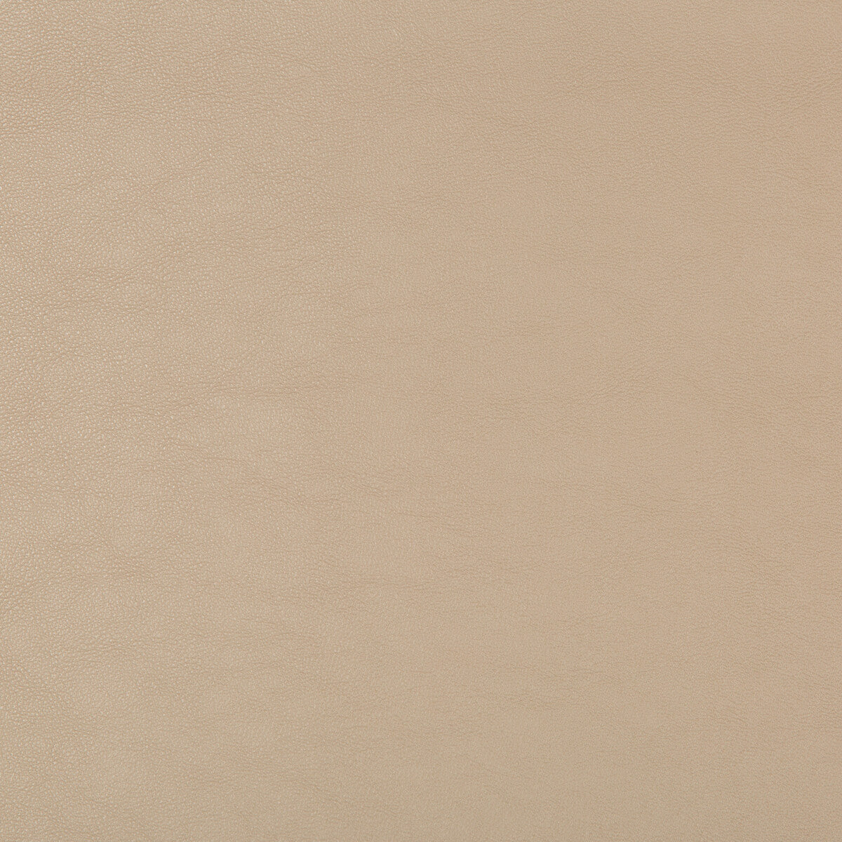 KRAVET DESIGN SWAPS.16.0 KRAVET DESIGN SWAPS-16 Fabric - Eade's Wallpaper