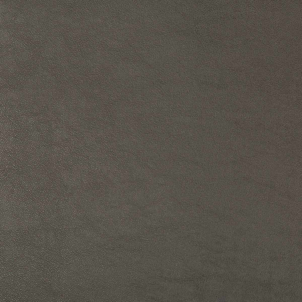 KRAVET DESIGN SWAPS.21.0 KRAVET DESIGN SWAPS-21 Fabric - Eade's Wallpaper