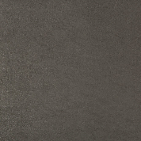 KRAVET DESIGN SWAPS.21.0 KRAVET DESIGN SWAPS-21 Fabric - Eade's Wallpaper