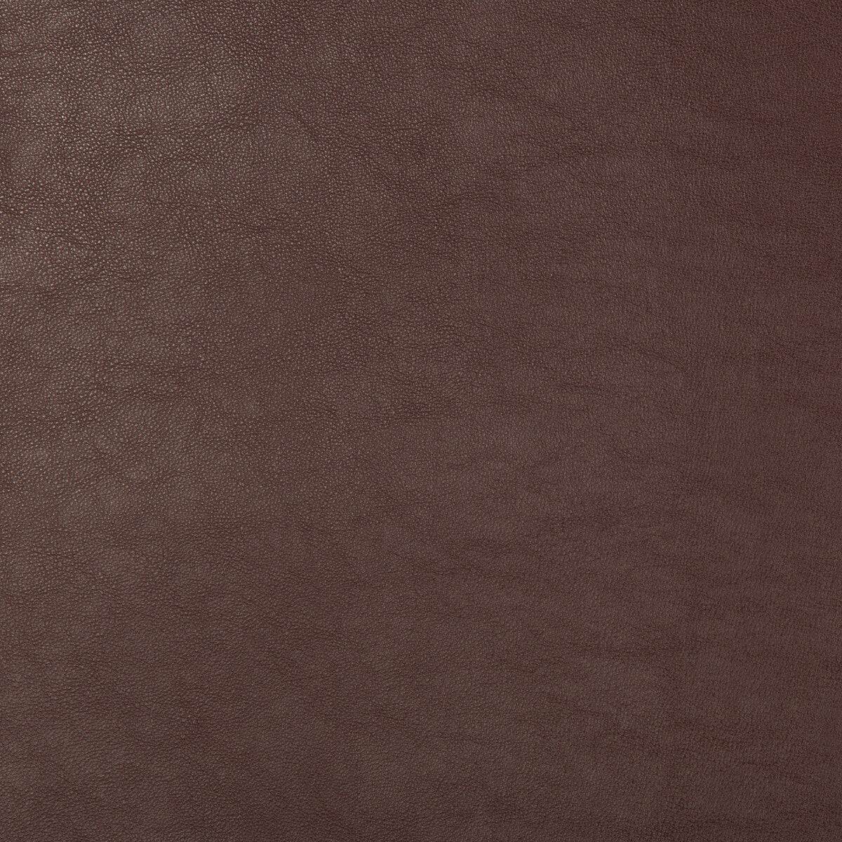 KRAVET DESIGN SWAPS.9.0 KRAVET DESIGN SWAPS-9 Fabric - Eade's Wallpaper