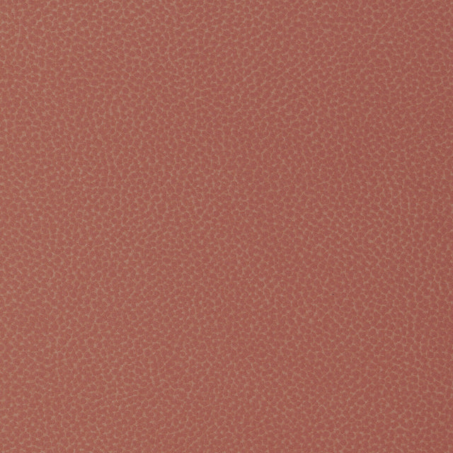 KRAVET DESIGN SWEETGUM.112.0 KRAVET DESIGN SWEETGUM-112 Fabric - Eade's Wallpaper