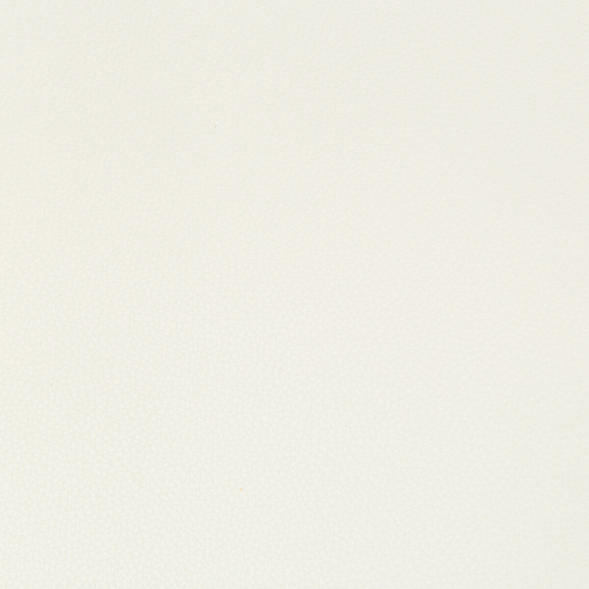 KRAVET CONTRACT SYRUS.1.0 SYRUS GESSO Fabric - Eade's Wallpaper