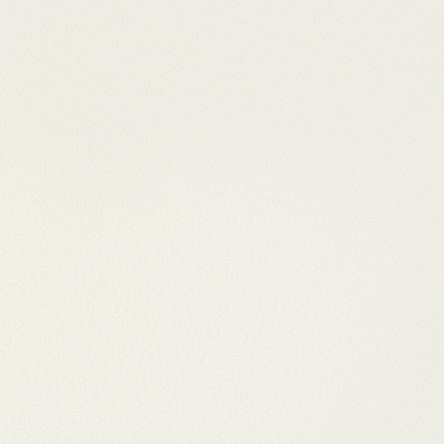 KRAVET CONTRACT SYRUS.1.0 SYRUS GESSO Fabric - Eade's Wallpaper