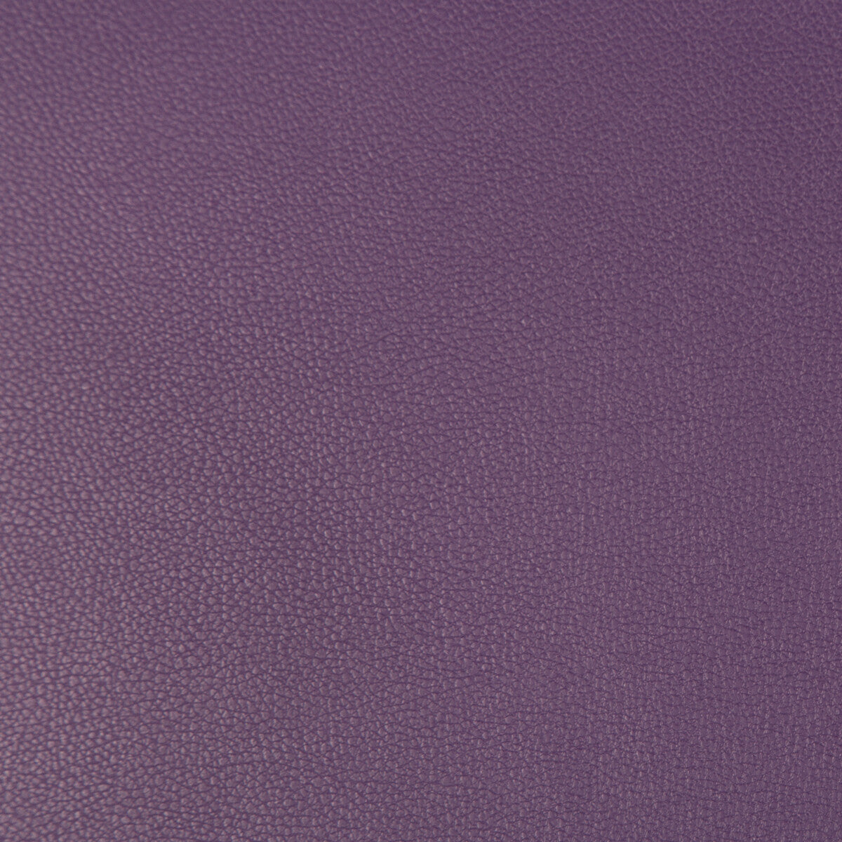 KRAVET CONTRACT SYRUS.10.0 SYRUS GRAPE Fabric - Eade's Wallpaper