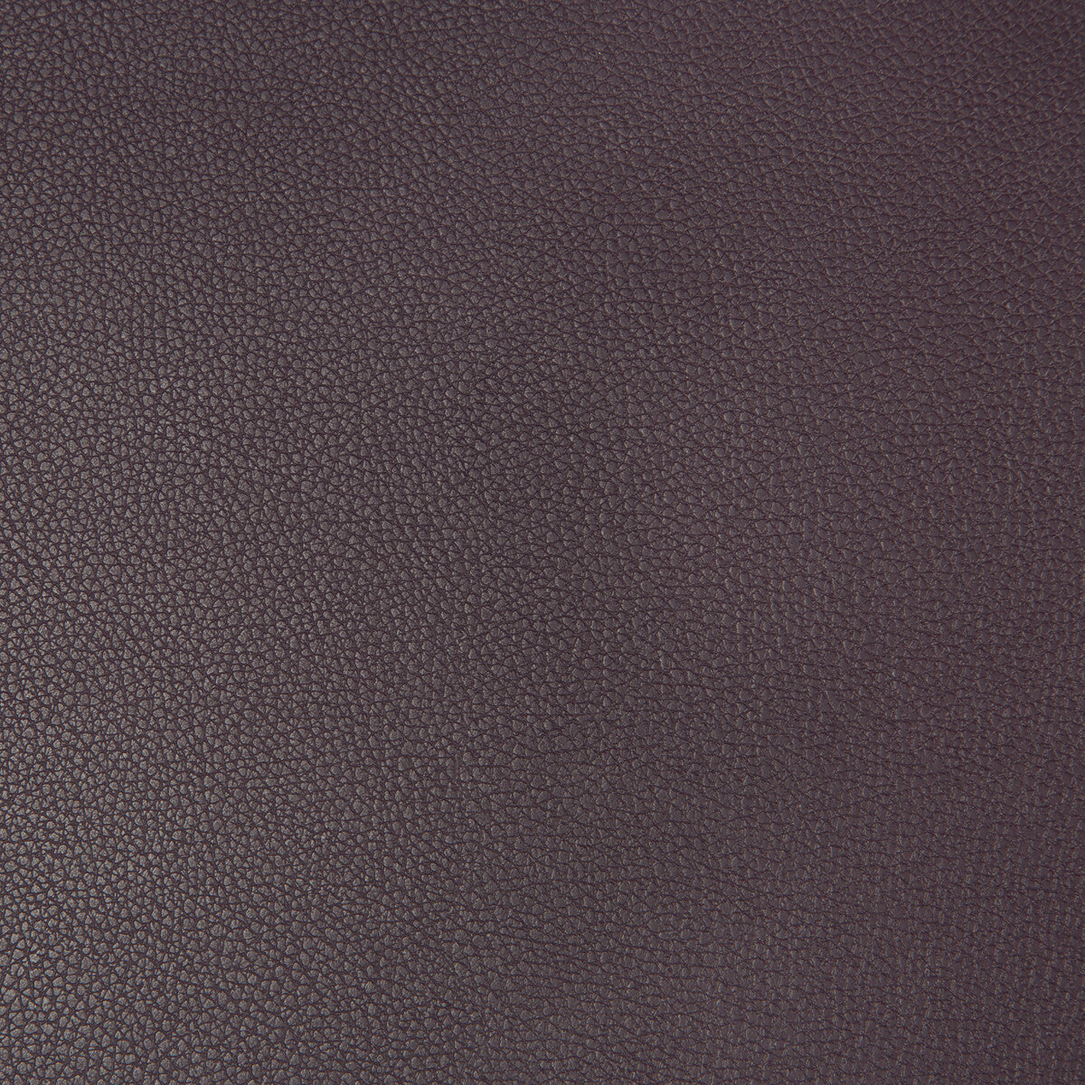 KRAVET CONTRACT SYRUS.1019.0 SYRUS EGGPLANT Fabric - Eade's Wallpaper