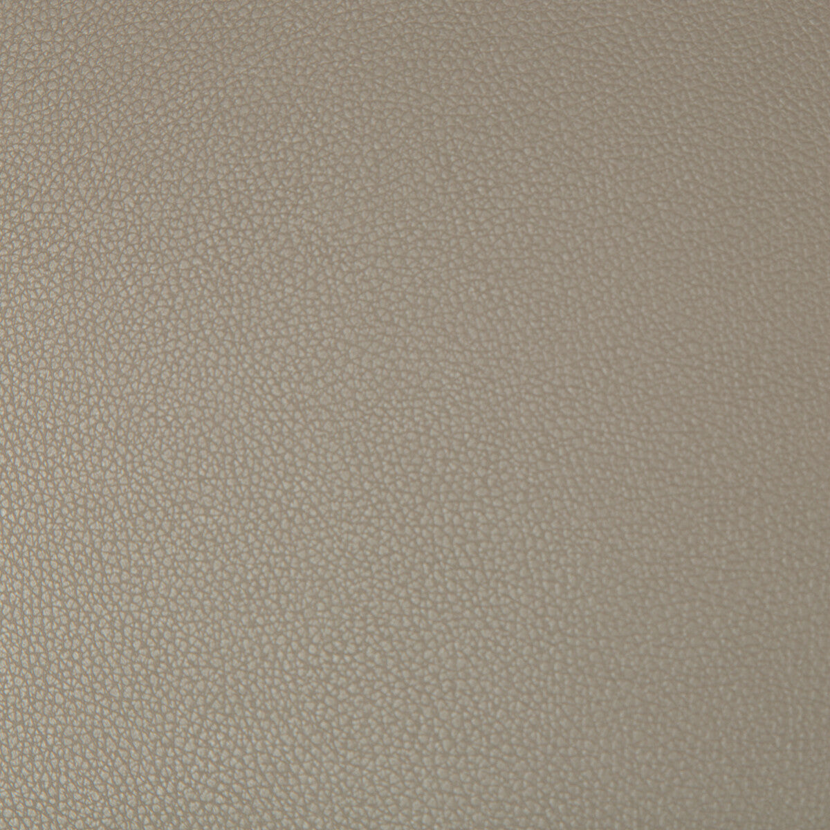 KRAVET CONTRACT SYRUS.106.0 SYRUS DRIFTWOOD Fabric - Eade's Wallpaper