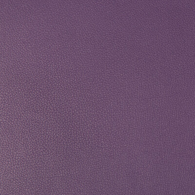 KRAVET CONTRACT SYRUS.10.0 SYRUS GRAPE Fabric - Eade's Wallpaper