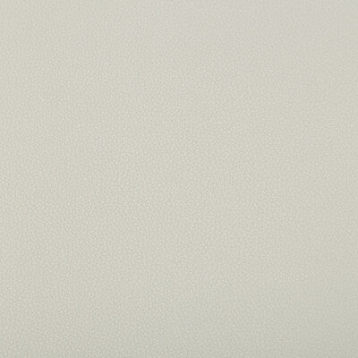 KRAVET CONTRACT SYRUS.1101.0 SYRUS VAPOR Fabric - Eade's Wallpaper
