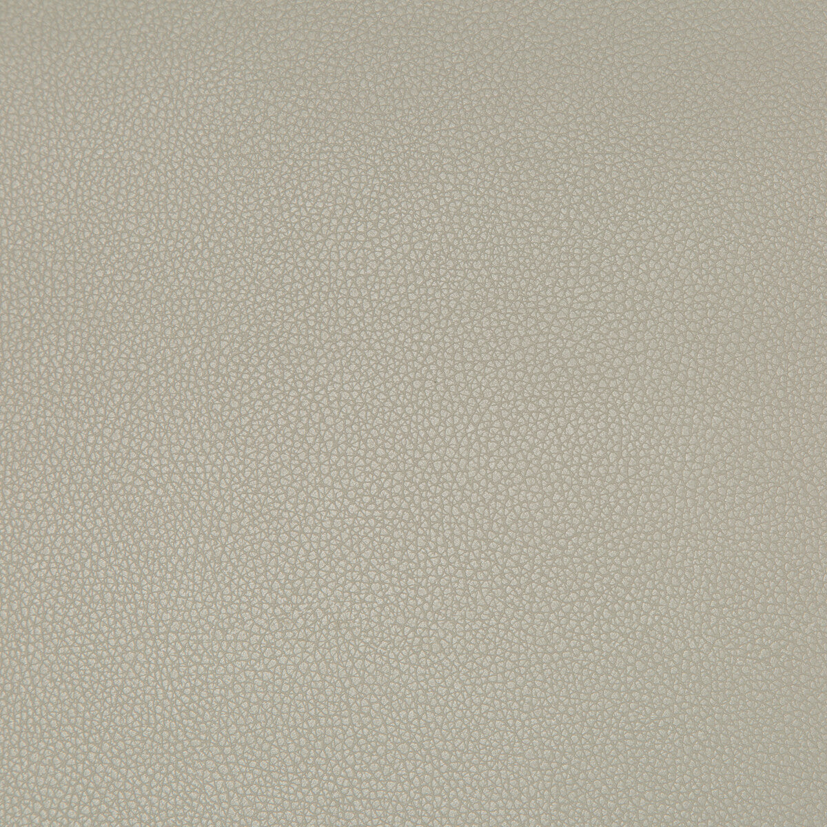KRAVET CONTRACT SYRUS.1121.0 SYRUS STINGRAY Fabric - Eade's Wallpaper