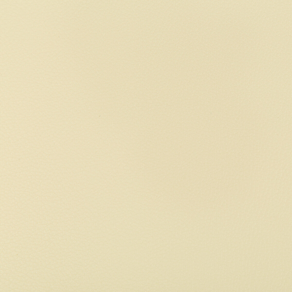 KRAVET CONTRACT SYRUS.116.0 SYRUS VANILLA Fabric - Eade's Wallpaper