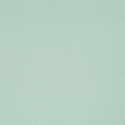 KRAVET CONTRACT SYRUS.1535.0 SYRUS ROBINS EGG Fabric - Eade's Wallpaper