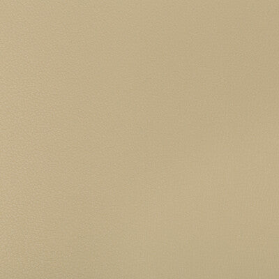 KRAVET CONTRACT SYRUS.1616.0 SYRUS STUCCO Fabric - Eade's Wallpaper