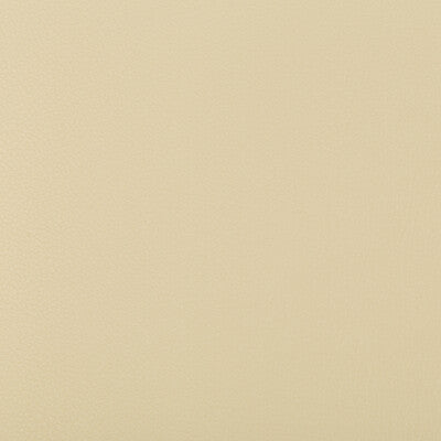 KRAVET CONTRACT SYRUS.16.0 SYRUS SANDBAR Fabric - Eade's Wallpaper