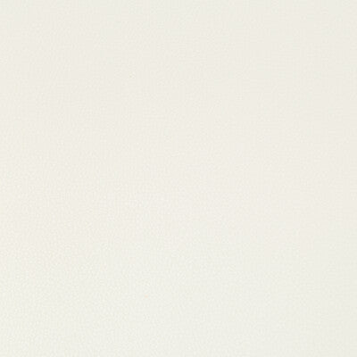 KRAVET CONTRACT SYRUS.1.0 SYRUS GESSO Fabric - Eade's Wallpaper