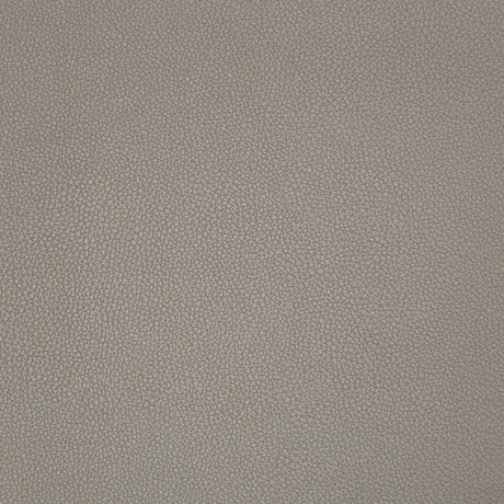 KRAVET CONTRACT SYRUS.2106.0 SYRUS TRUFFLE Fabric - Eade's Wallpaper