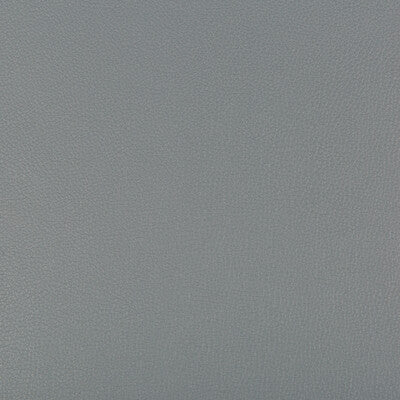 KRAVET CONTRACT SYRUS.2111.0 SYRUS PEWTER Fabric - Eade's Wallpaper