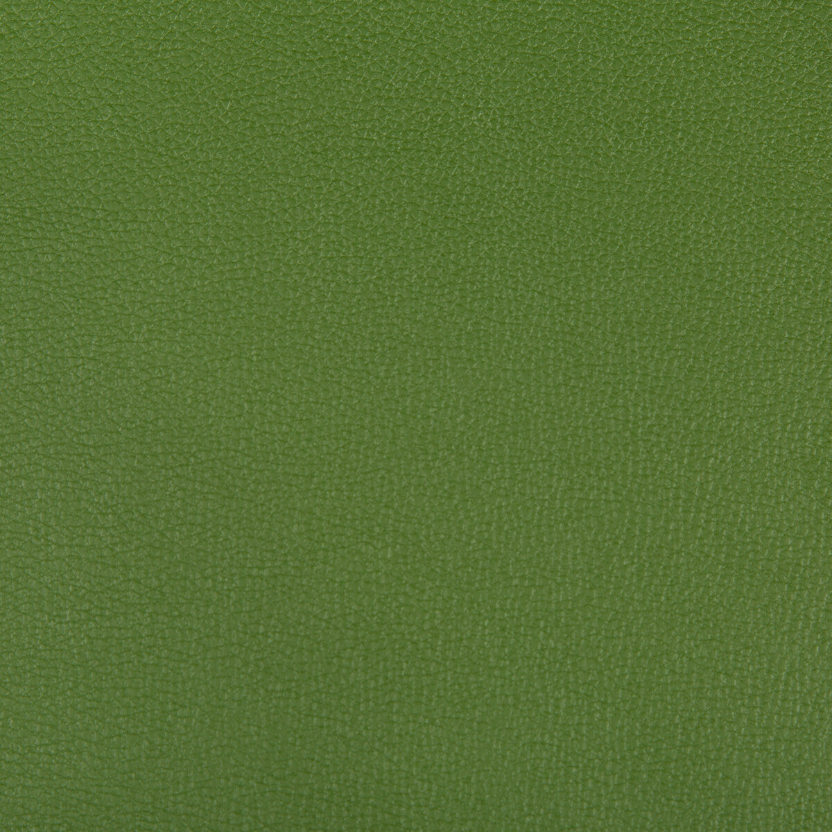KRAVET CONTRACT SYRUS.303.0 SYRUS BONSAI Fabric - Eade's Wallpaper