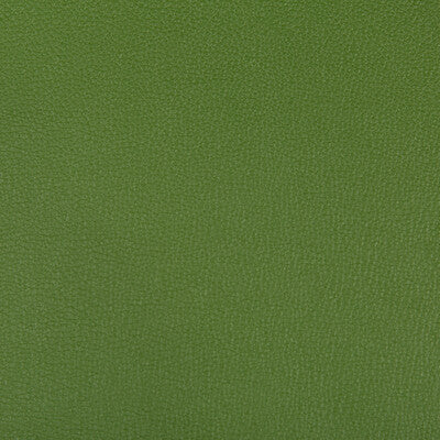 KRAVET CONTRACT SYRUS.303.0 SYRUS BONSAI Fabric - Eade's Wallpaper