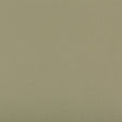 KRAVET CONTRACT SYRUS.311.0 SYRUS SAGE Fabric - Eade's Wallpaper
