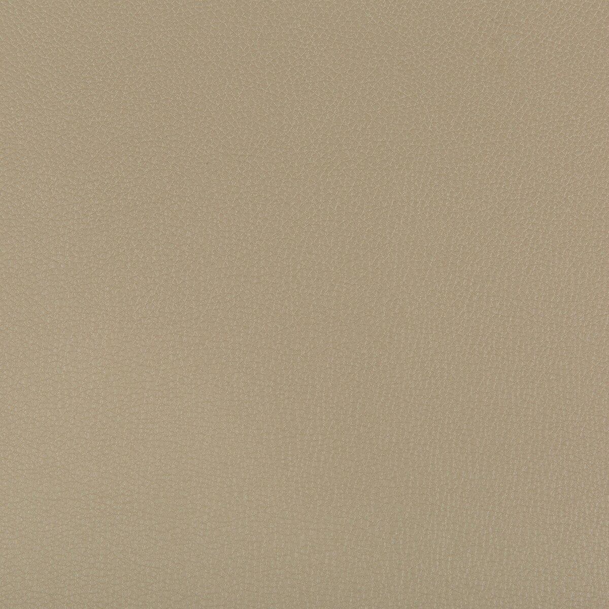 KRAVET CONTRACT SYRUS.316.0 SYRUS ELM Fabric - Eade's Wallpaper