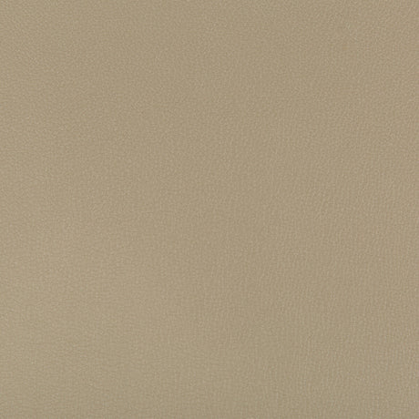KRAVET CONTRACT SYRUS.316.0 SYRUS ELM Fabric - Eade's Wallpaper