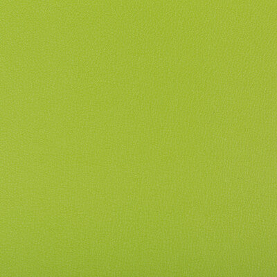 KRAVET CONTRACT SYRUS.340.0 SYRUS MATCHA Fabric - Eade's Wallpaper