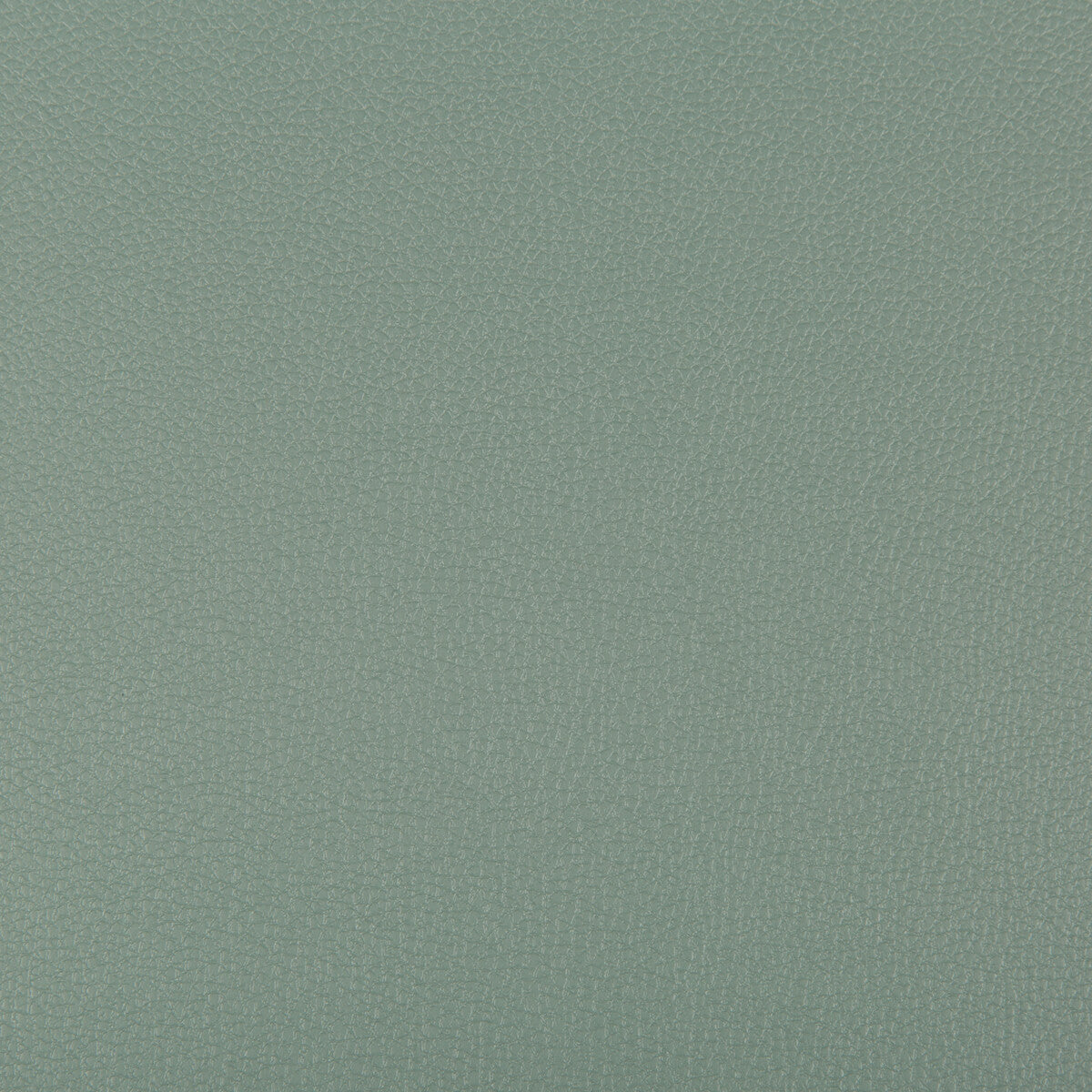 KRAVET CONTRACT SYRUS.3511.0 SYRUS HERBAL Fabric - Eade's Wallpaper
