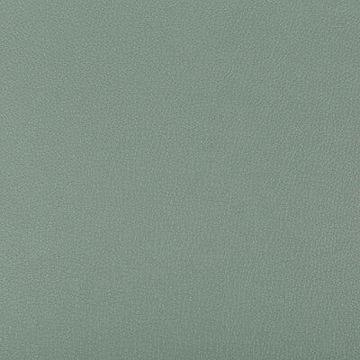 KRAVET CONTRACT SYRUS.3511.0 SYRUS HERBAL Fabric - Eade's Wallpaper