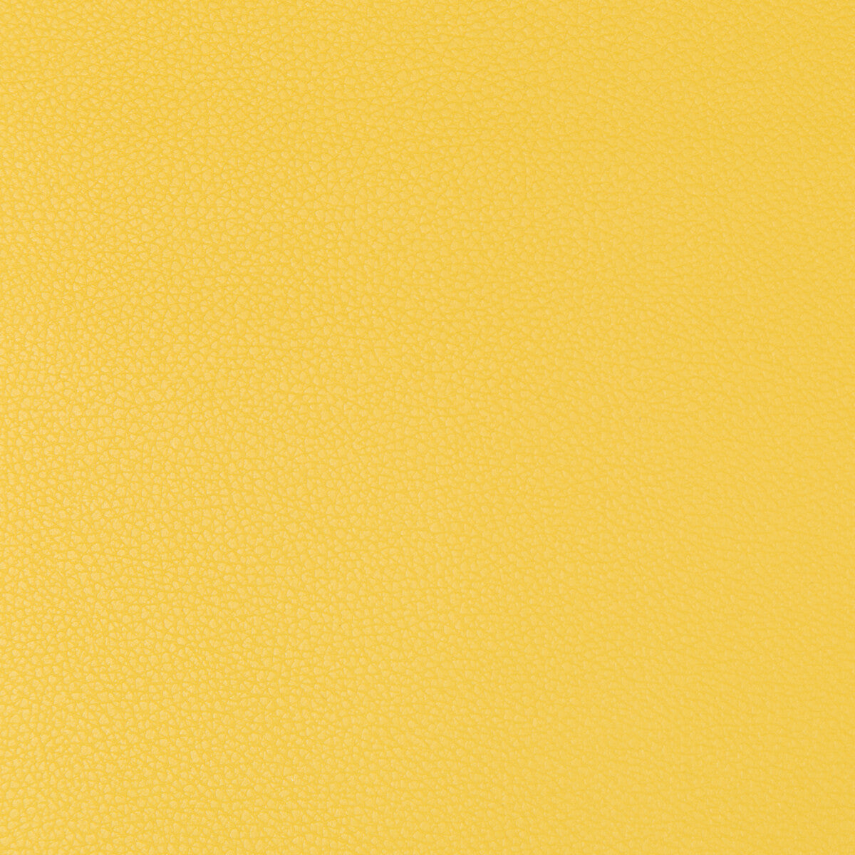 KRAVET CONTRACT SYRUS.40.0 SYRUS SUNSHINE Fabric - Eade's Wallpaper