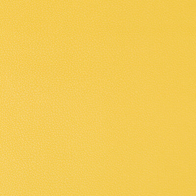 KRAVET CONTRACT SYRUS.40.0 SYRUS SUNSHINE Fabric - Eade's Wallpaper