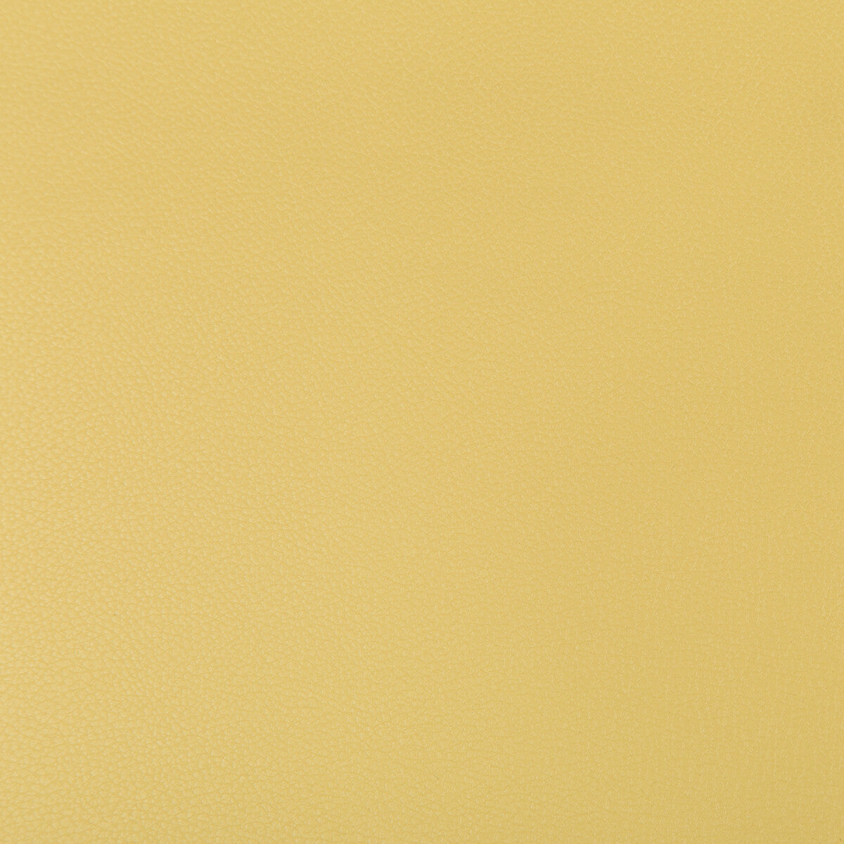 KRAVET CONTRACT SYRUS.414.0 SYRUS BUTTER Fabric - Eade's Wallpaper