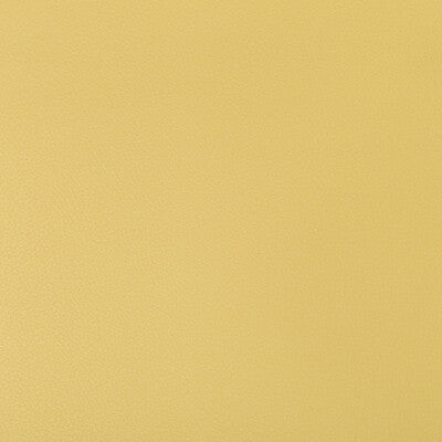 KRAVET CONTRACT SYRUS.414.0 SYRUS BUTTER Fabric - Eade's Wallpaper