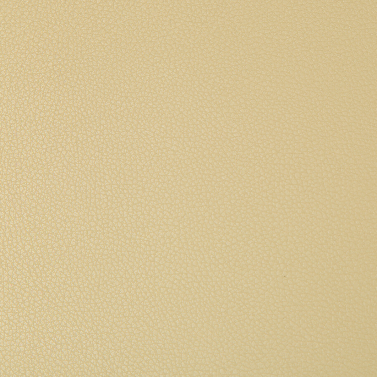 KRAVET CONTRACT SYRUS.416.0 SYRUS FLAX Fabric - Eade's Wallpaper