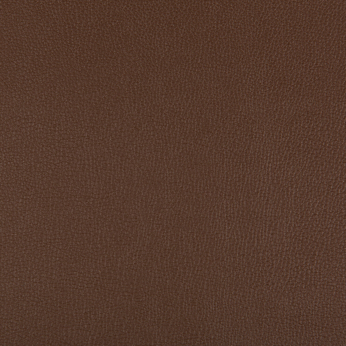 KRAVET CONTRACT SYRUS.6.0 SYRUS CHOCOLATE Fabric - Eade's Wallpaper
