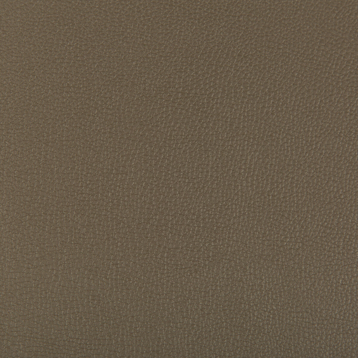 KRAVET CONTRACT SYRUS.606.0 SYRUS PORCINI Fabric - Eade's Wallpaper