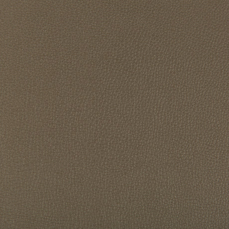 KRAVET CONTRACT SYRUS.606.0 SYRUS PORCINI Fabric - Eade's Wallpaper