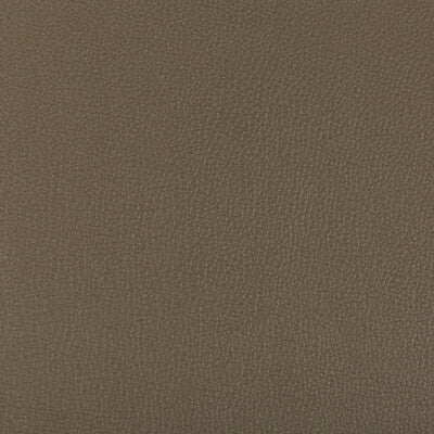 KRAVET CONTRACT SYRUS.606.0 SYRUS PORCINI Fabric - Eade's Wallpaper