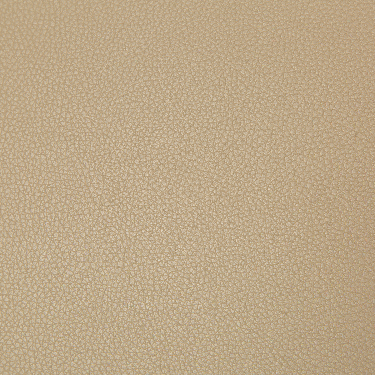KRAVET CONTRACT SYRUS.61.0 SYRUS QUICKSAND Fabric - Eade's Wallpaper