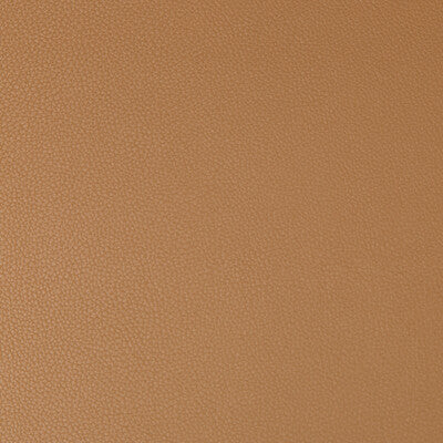 KRAVET CONTRACT SYRUS.64.0 SYRUS SADDLE Fabric - Eade's Wallpaper