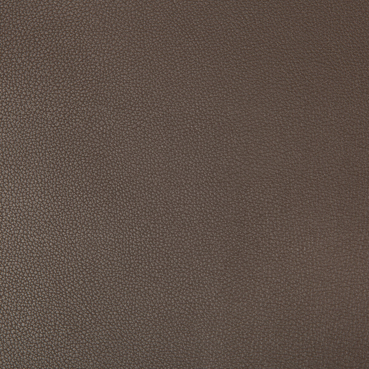 KRAVET CONTRACT SYRUS.66.0 SYRUS ESPRESSO Fabric - Eade's Wallpaper