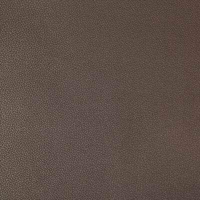 KRAVET CONTRACT SYRUS.66.0 SYRUS ESPRESSO Fabric - Eade's Wallpaper