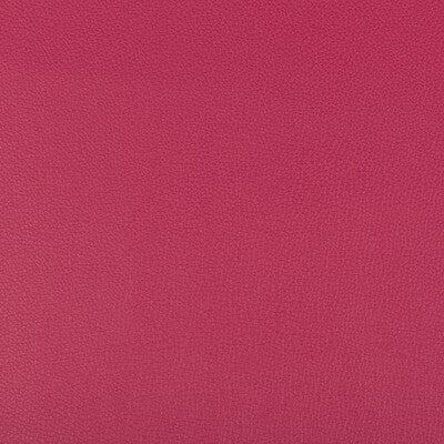 KRAVET CONTRACT SYRUS.7.0 SYRUS FUSCHIA Fabric - Eade's Wallpaper