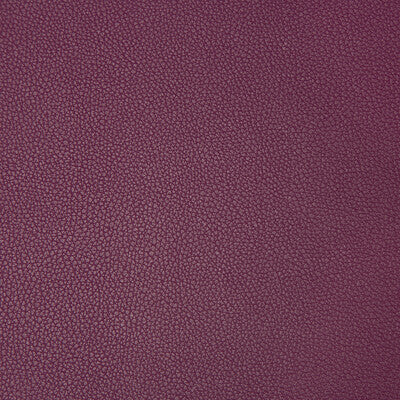 KRAVET CONTRACT SYRUS.910.0 SYRUS MULBERRY Fabric - Eade's Wallpaper