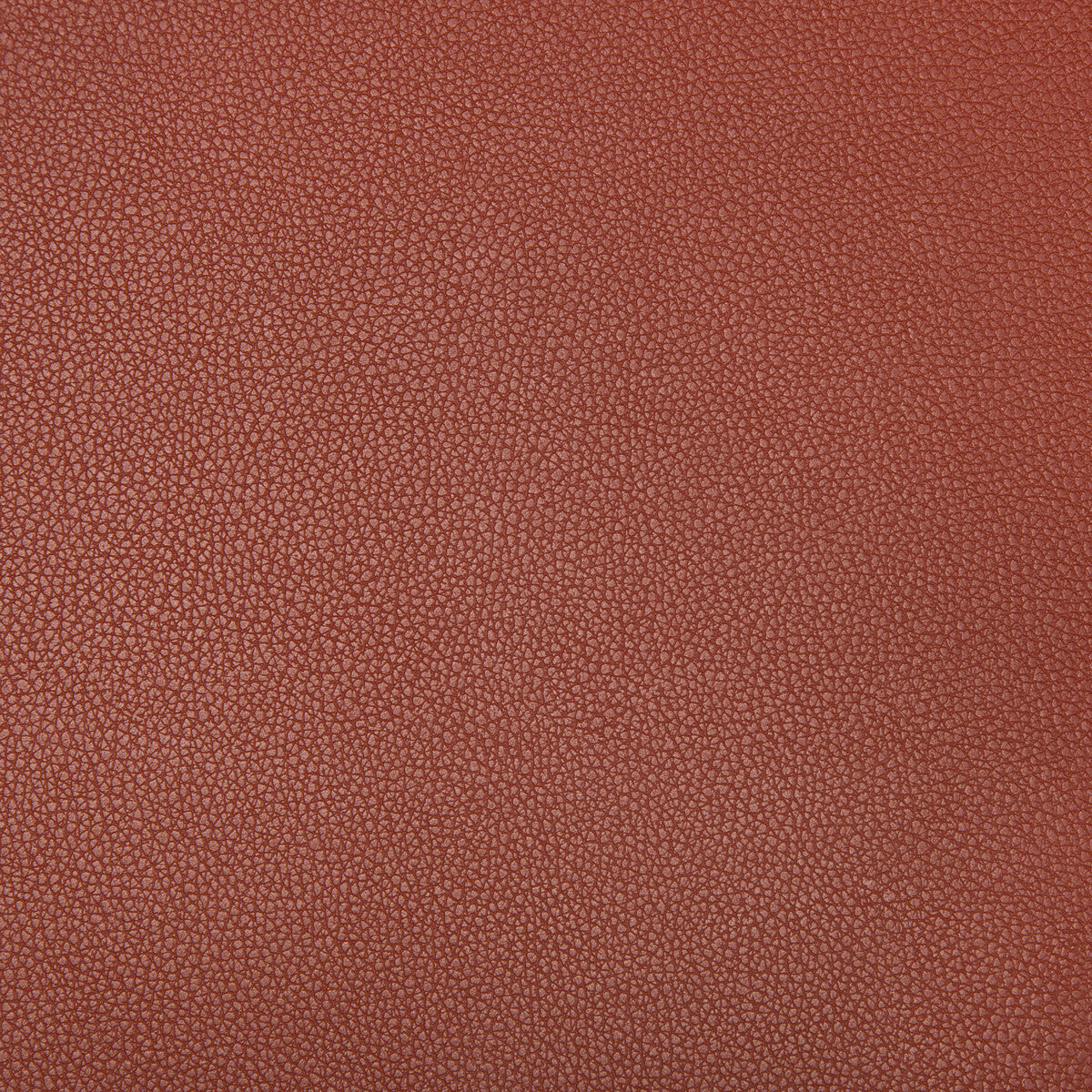 KRAVET CONTRACT SYRUS.924.0 SYRUS SIENNA Fabric - Eade's Wallpaper