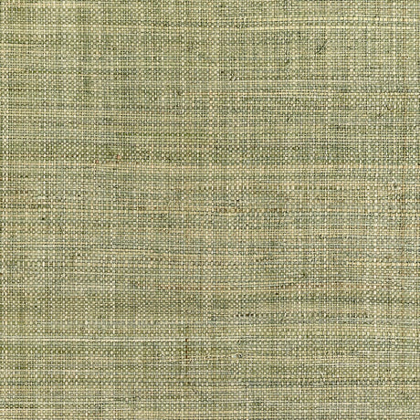Thibaut MACKINAC T10302 in Sage Wallpaper - GRASSCLOTH RESOU