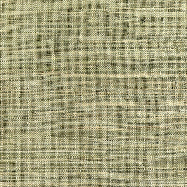 Thibaut MACKINAC T10302 in Sage Wallpaper - GRASSCLOTH RESOU