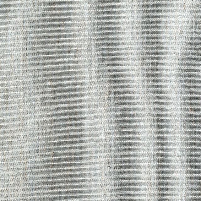 Thibaut LAKE SHORE T10322 in Mineral Wallpaper - GRASSCLOTH 