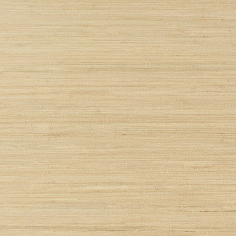 Thibaut MONTGOMERY WEAVE T10333 in Natural Wallpaper - GRASS