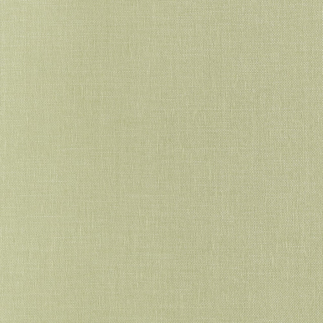 Thibaut HAMPTON T10346 in Apple Green Wallpaper - GRASSCLOTH