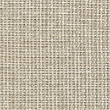Thibaut HARRISON T10373 in Beige Wallpaper - GRASSCLOTH RESO